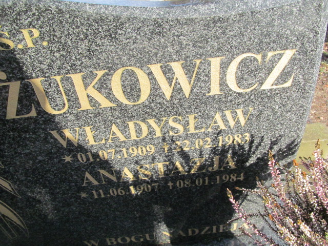 Roman Krygier 1948 Jedlina Zdrój - Grobonet - Wyszukiwarka osób pochowanych