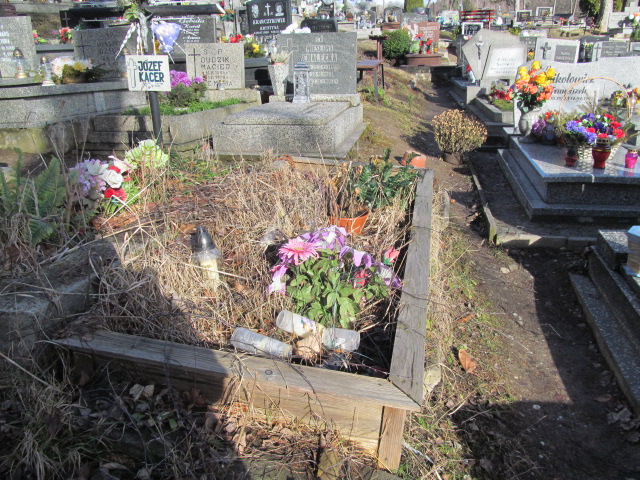 Bronisława Kacer 1910 Jedlina Zdrój - Grobonet - Wyszukiwarka osób pochowanych