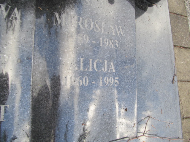 Grób Alicja Ważna