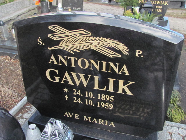 Antonina Gawlik 1895 Jedlina Zdrój - Grobonet - Wyszukiwarka osób pochowanych