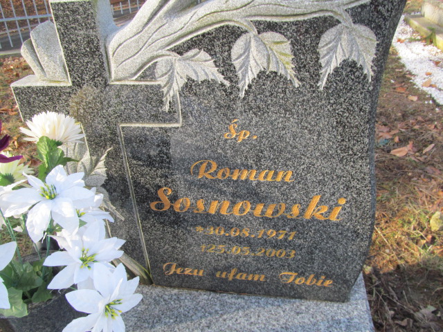 Roman Sosnowski 1971 Jedlina Zdrój - Grobonet - Wyszukiwarka osób pochowanych